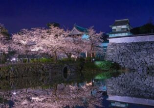 福岡城さくらまつり